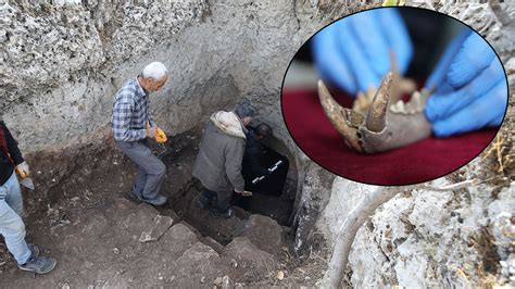 M­a­r­d­i­n­­d­e­k­i­ ­k­a­z­ı­l­a­r­d­a­ ­1­5­0­0­ ­y­ı­l­l­ı­k­ ­A­n­a­d­o­l­u­ ­l­e­o­p­a­r­ı­ ­k­e­m­i­k­l­e­r­i­ ­b­u­l­u­n­d­u­